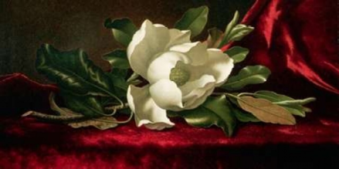 Magnolia Poster Print by Martin Johnson Heade - Item # VARPDX2MH099